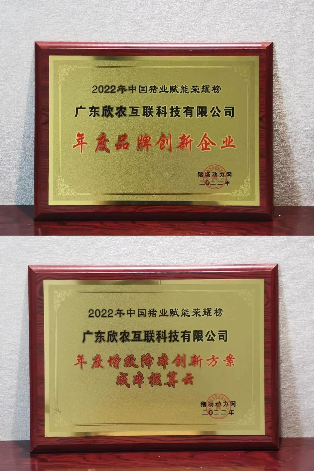 6445f69fbd626.jpg